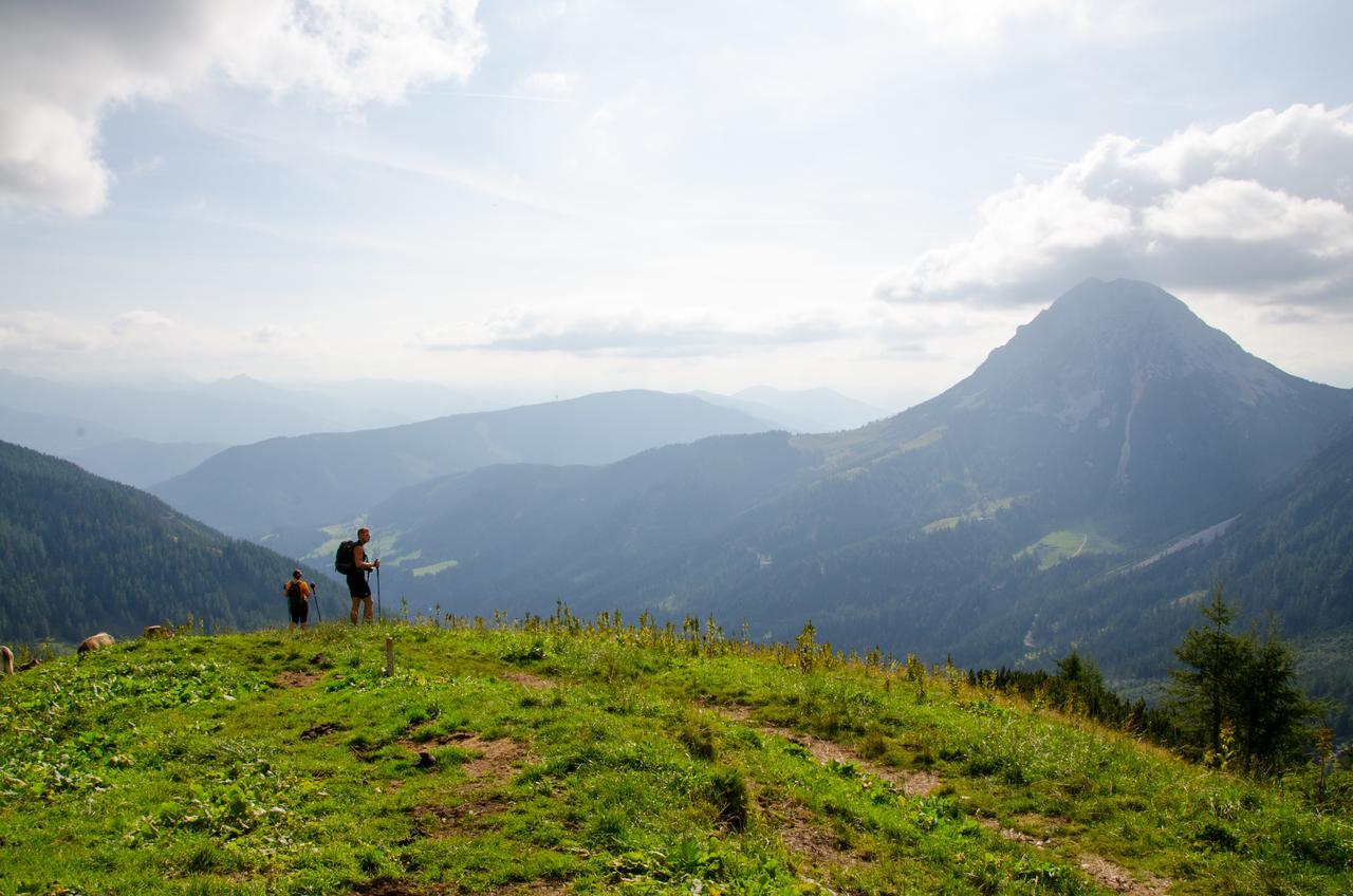 Sissi Park Haus Im Ennstal - Schladming Apartment Luaran gambar